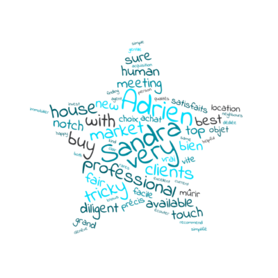 avis-clients-sandra-vanhalst-adrien-desormiere-immobilier-real-estate-étoile nuage de mots en forme d'étoile issus de l'avis des clients de Sandra Vanhalst et Adrien Désormière