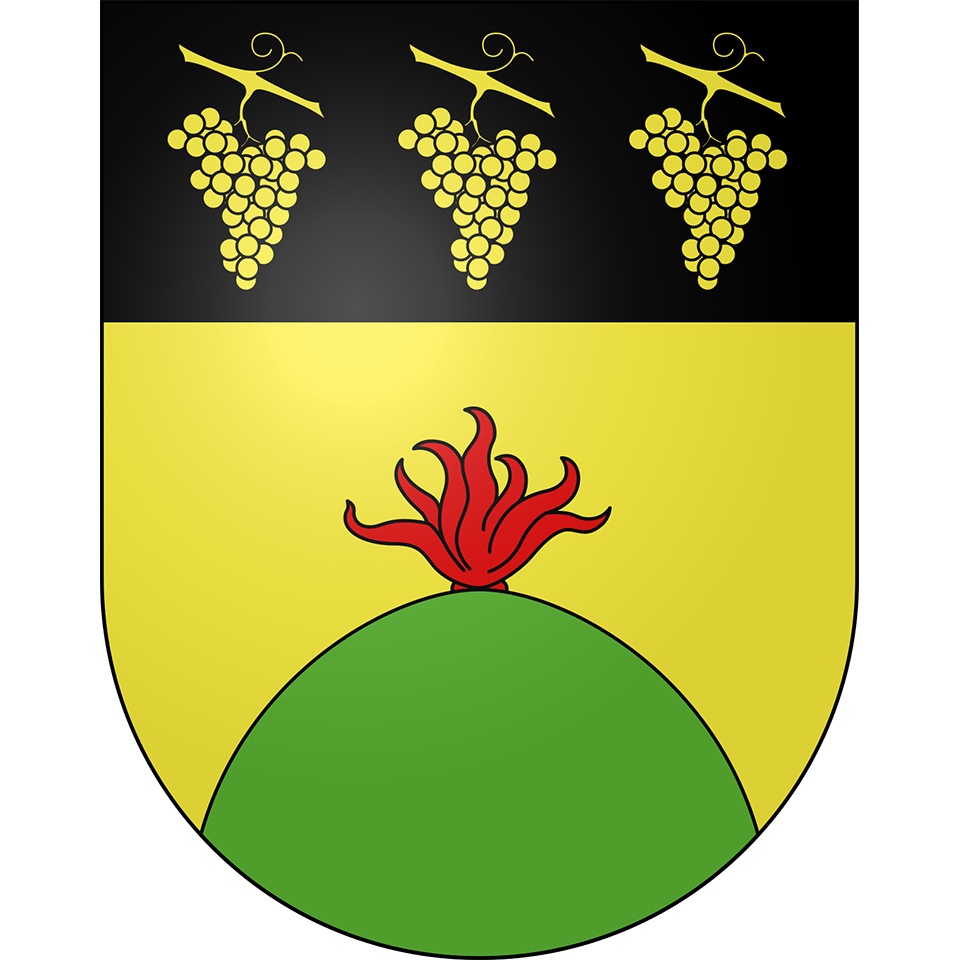 Image en vedette de Taxonomie